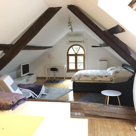 Ferienwohnung Auf Denkmalgeschuetztem Sturmhof Grefrath Exteriör bild