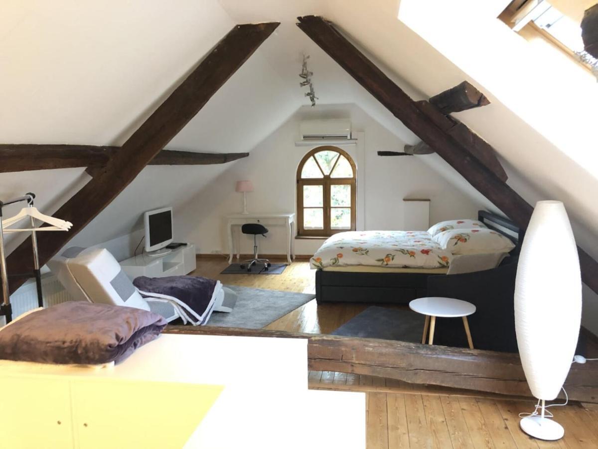 Ferienwohnung Auf Denkmalgeschuetztem Sturmhof Grefrath Exteriör bild